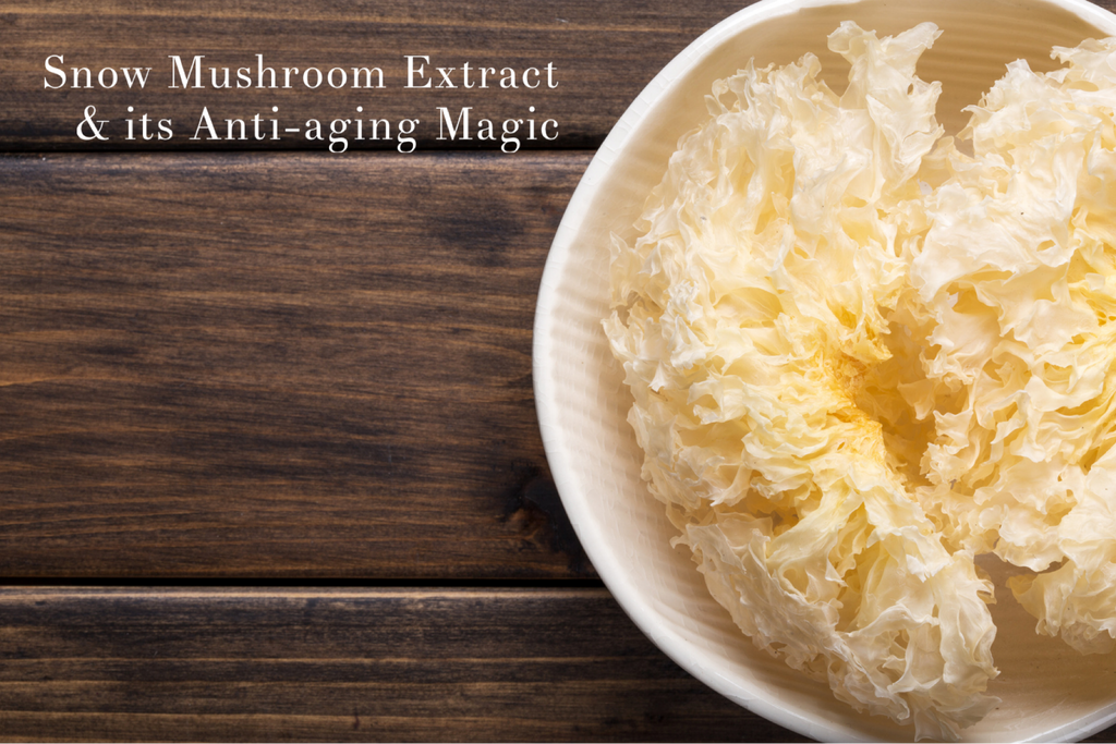 The Snow Mushroom an Anti-aging Dynamo for Skincare