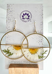 Pressed Daisy Earrings